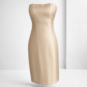 The Limited Event Tan Shimmer Formal Cocktail pencil dress size 2